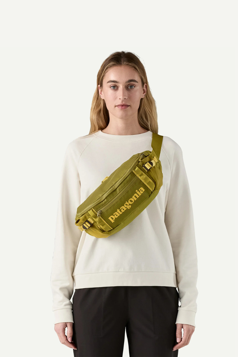 Patagonia Black Hole® Waist Pack 5L – Studio Opal Boutique