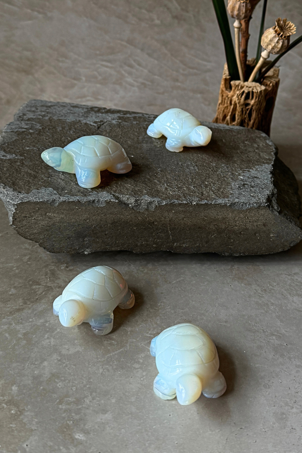 Carved Opalite Tortoise