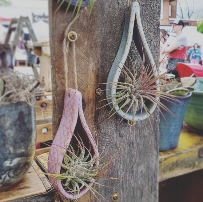 Air Plant Teardrop Holder