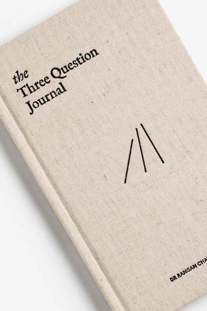 The Three Question Journal