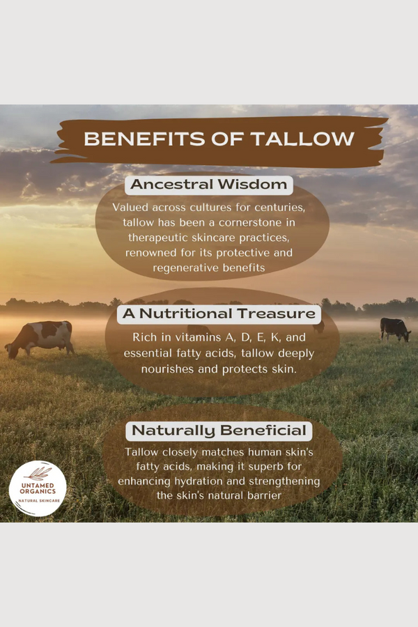Tallow Lip Balm