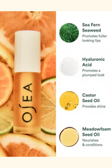 Hyaluronic Lip Booster