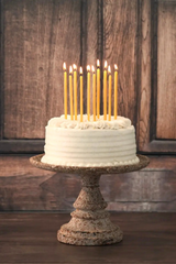 Beeswax Birthday Candles
