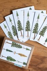 Set of cards with tree illustrations on a wooden surface