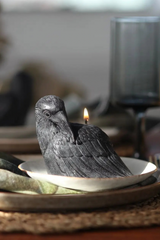 Crow Candle
