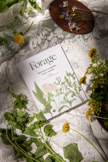 Forage