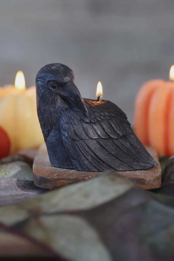 Candle-shaped raven with pumpkin candles in the background