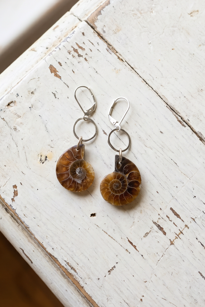 Ammonite Fossil Earrings