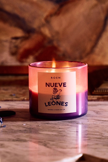Nueve Leones