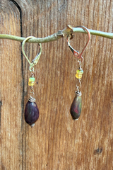 Into Wild Earrings