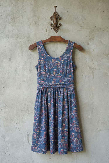 Asheville Dress Fox Field Blue