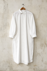 Artist Long Shirt Dress