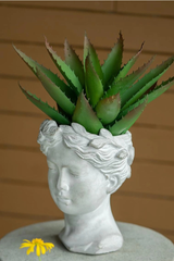 Visage Cement Vase