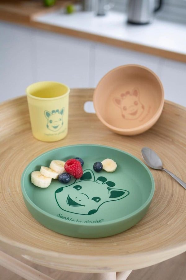 Silicone Meal Set New