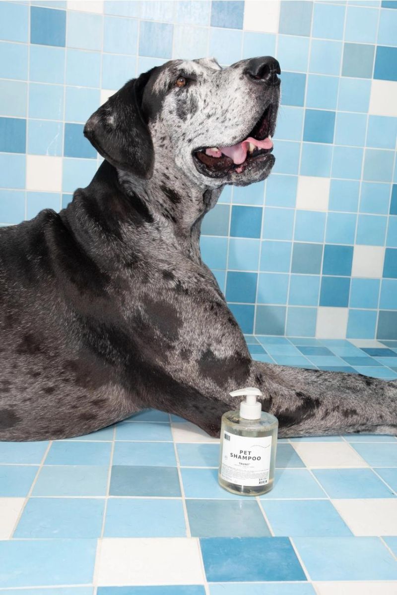 Pet Shampoo "Taunt"