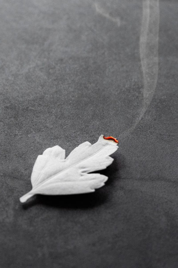 Paper Incense