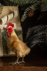 Standing Rooster