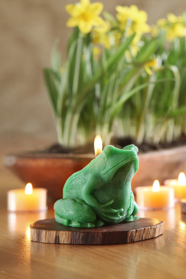 Frog Candle