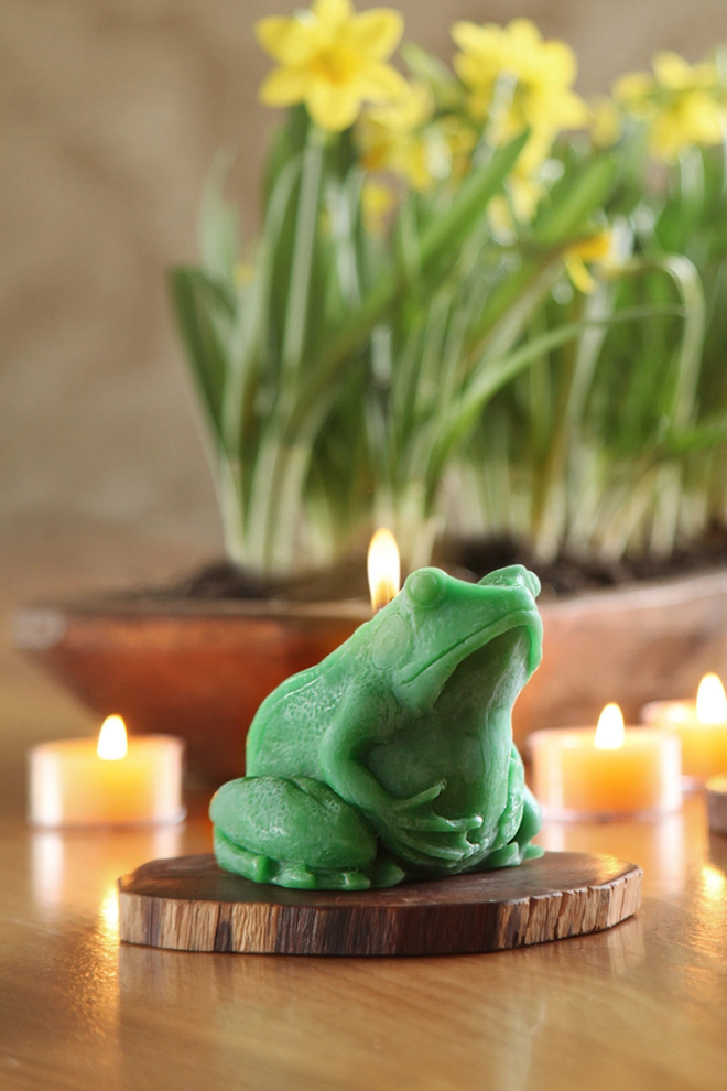 Frog Candle