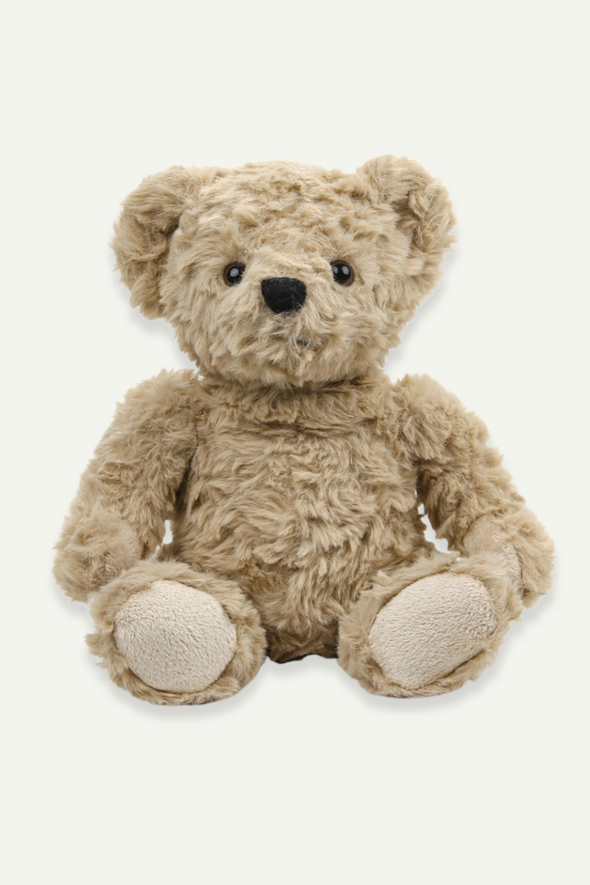Plush Teddy Bear