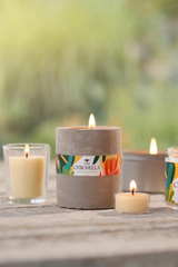 Citronella Tea Lights set/6