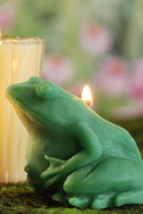 Frog Candle