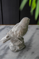 Watchful Birds Pair