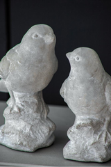 Watchful Birds Pair