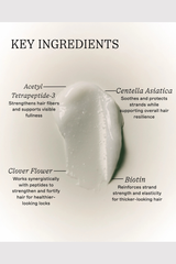 The Rice Cream Thickening Conditioner