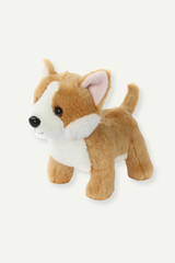 Butterscotch the Corgi Dog with Collar