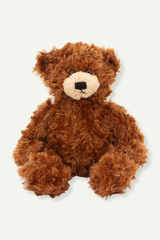 Plush Teddy Bear
