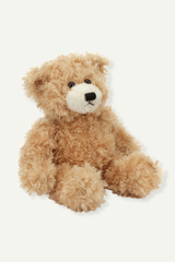 Plush Teddy Bear