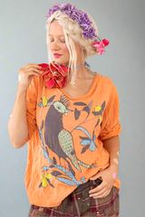 Pajaro 1865 Viggo T