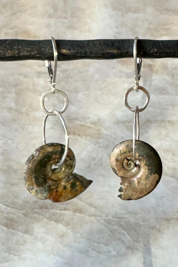 Simple Ammonite