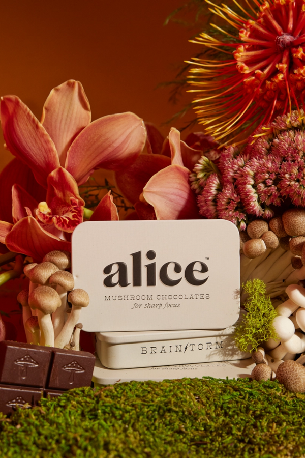Alice Mushroom Chocolates "Brainstorm"