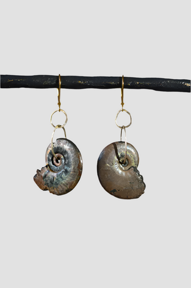 Raw Ammonite Earrings