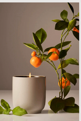 Homecourt Candle