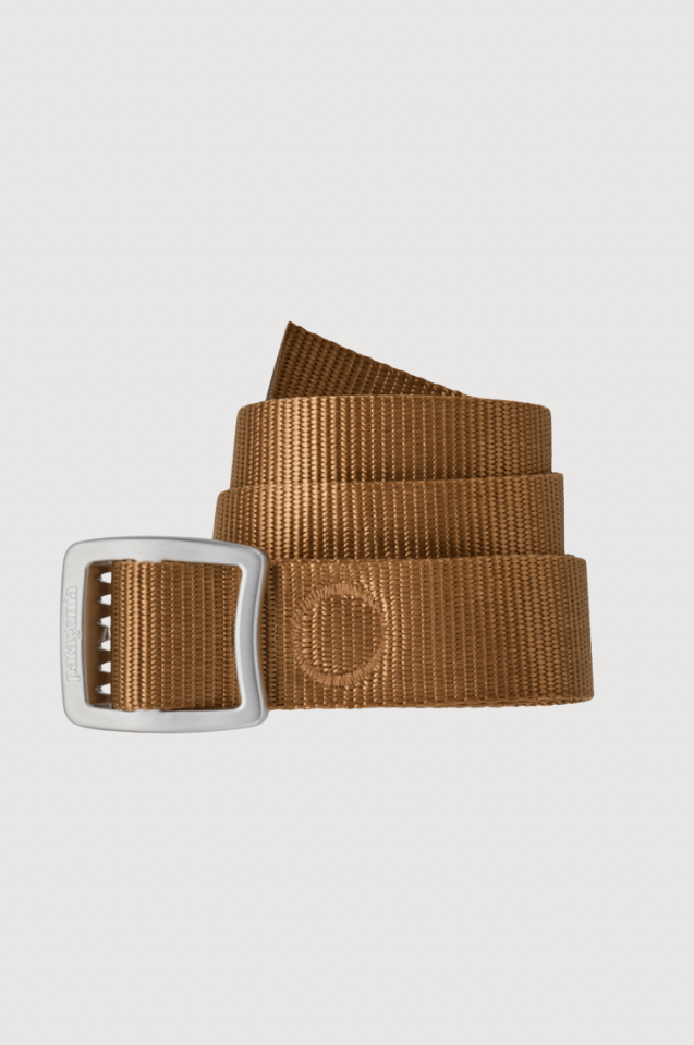 Brown belt with silver buckle on a light gray background