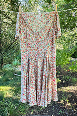 The Garden Dress