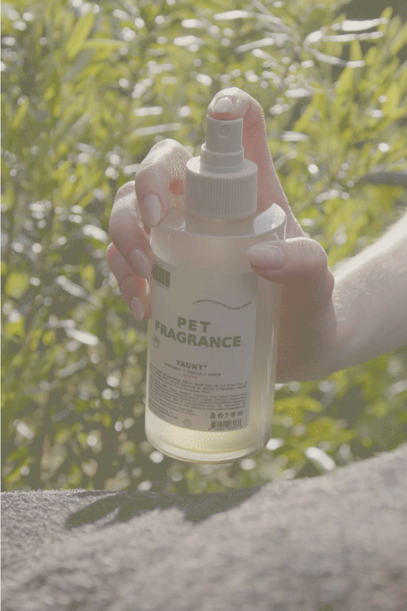 Pet Fragrance 01 "Taunt"