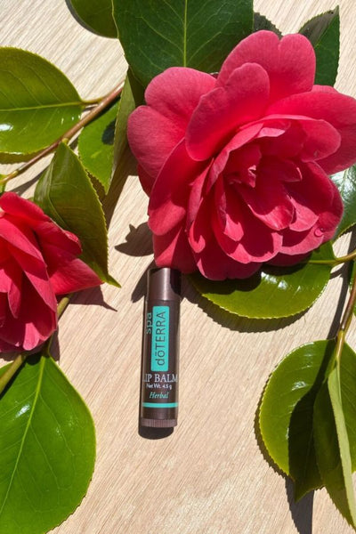 doTERRA spa Lip Balm (Herbal) – Studio Opal Boutique