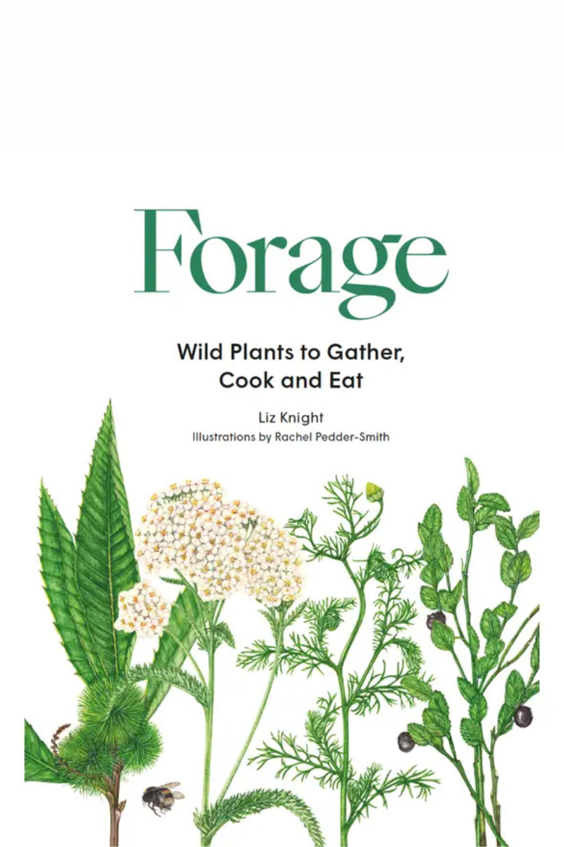 Forage