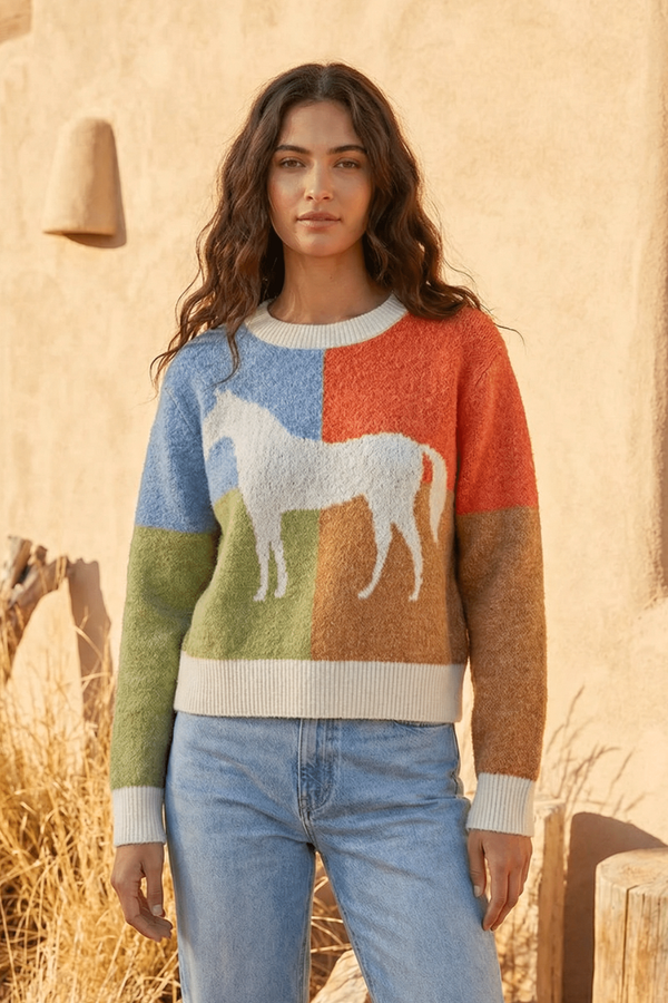 Colorblock Horse Sweater