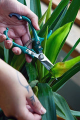 Garden Shears