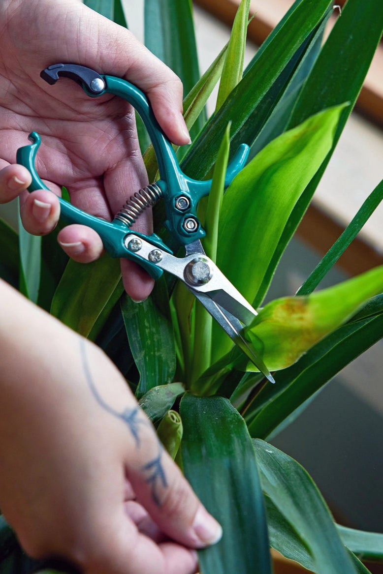 Garden Shears