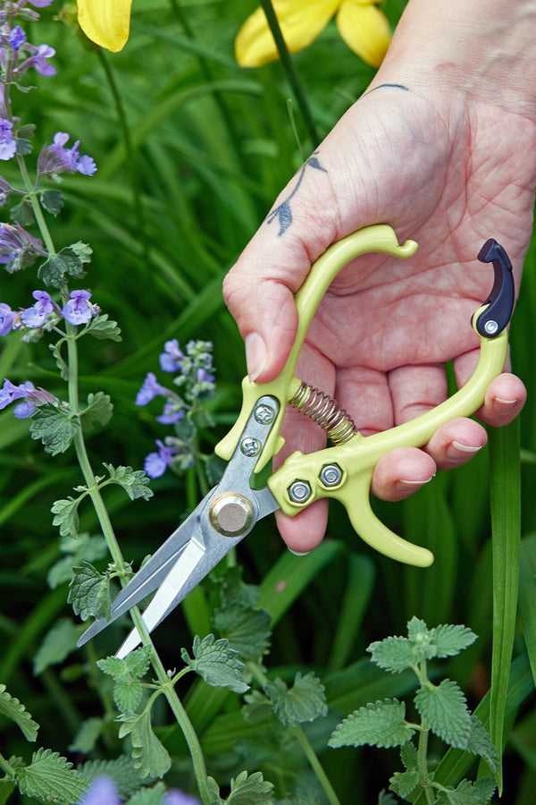 Garden Shears