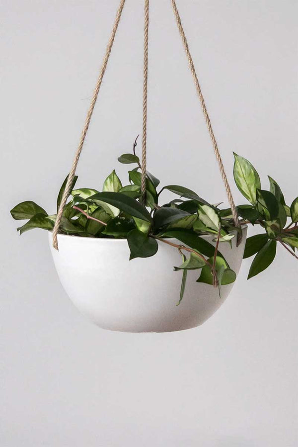 Stone Hanging Planter 10"