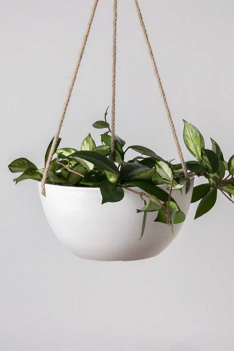 Stone Hanging Planter 10"