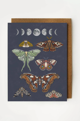 Butterfly Card