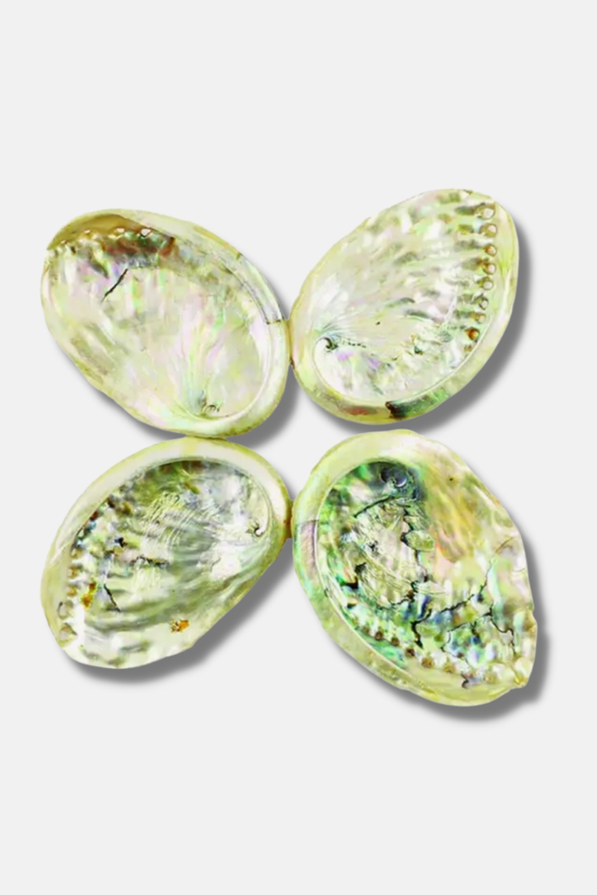 4" Threaded Abalone Shell Bowl